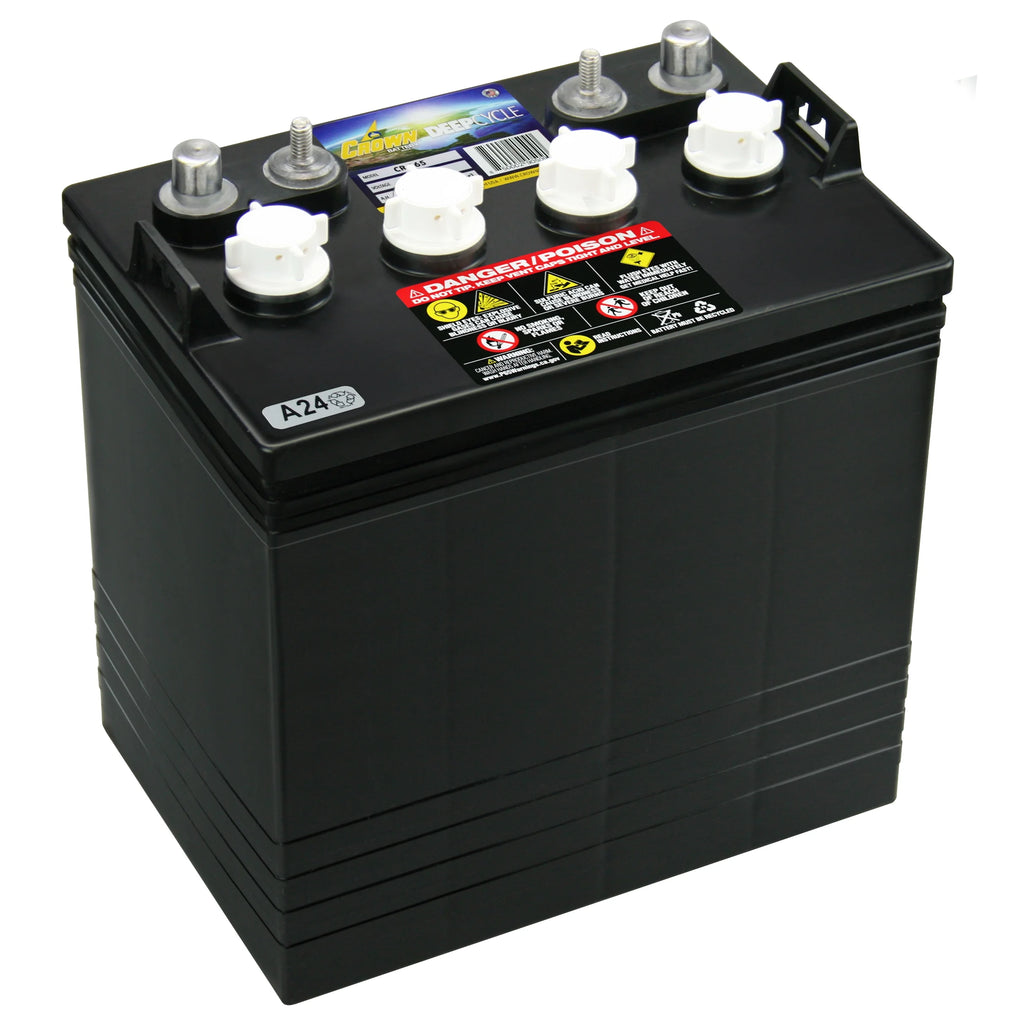 8V Deep-Cycle Flooded Battery G189
