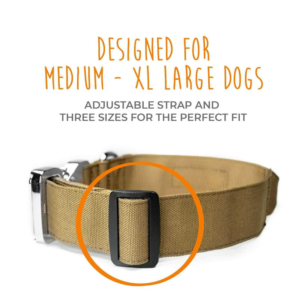 Heavy Duty Dog Collar with Metal Buckle W809