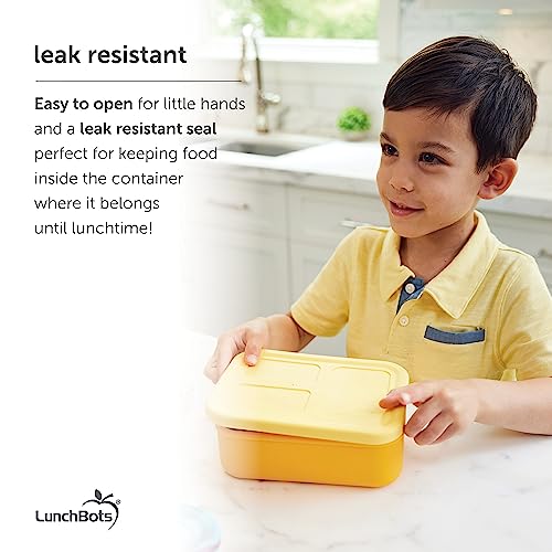 Silicone Multi-Compartment Lunch Box A60005