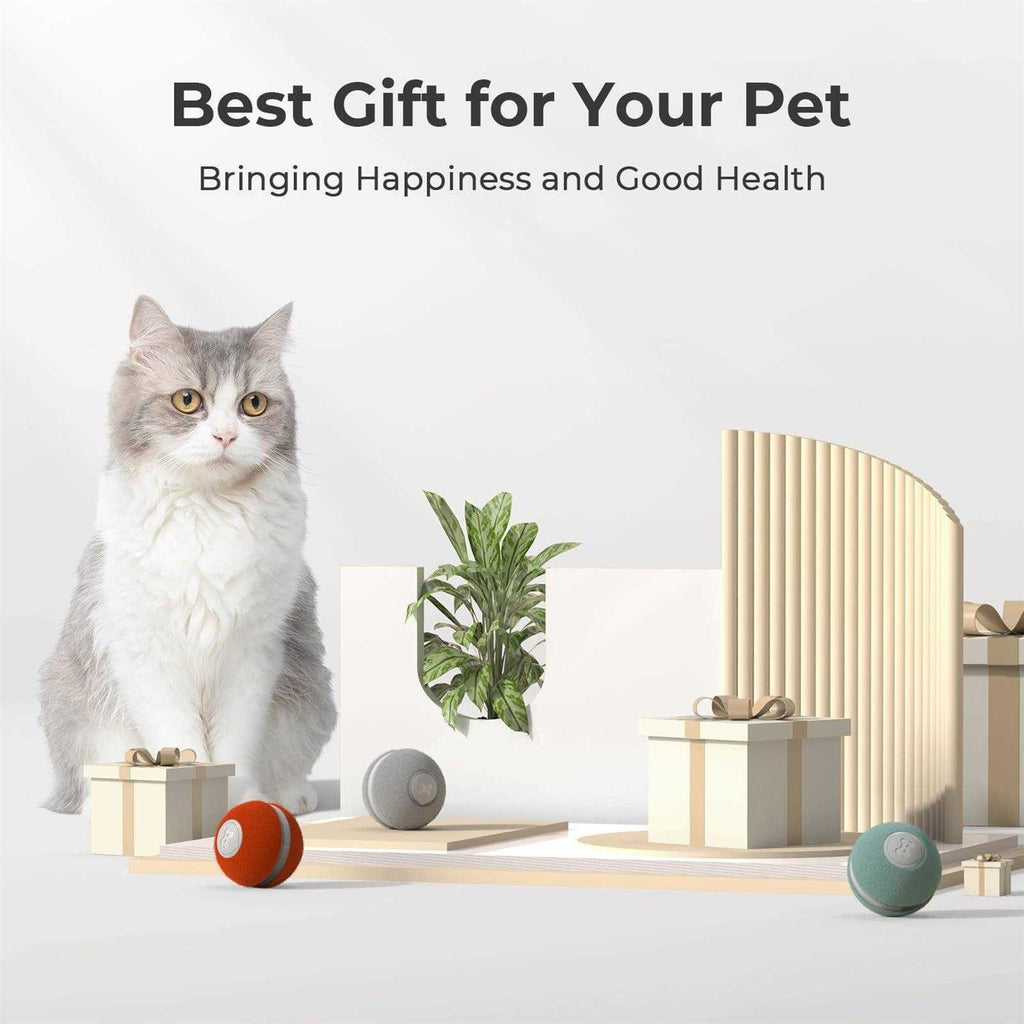 Interactive Cat Toy K481115