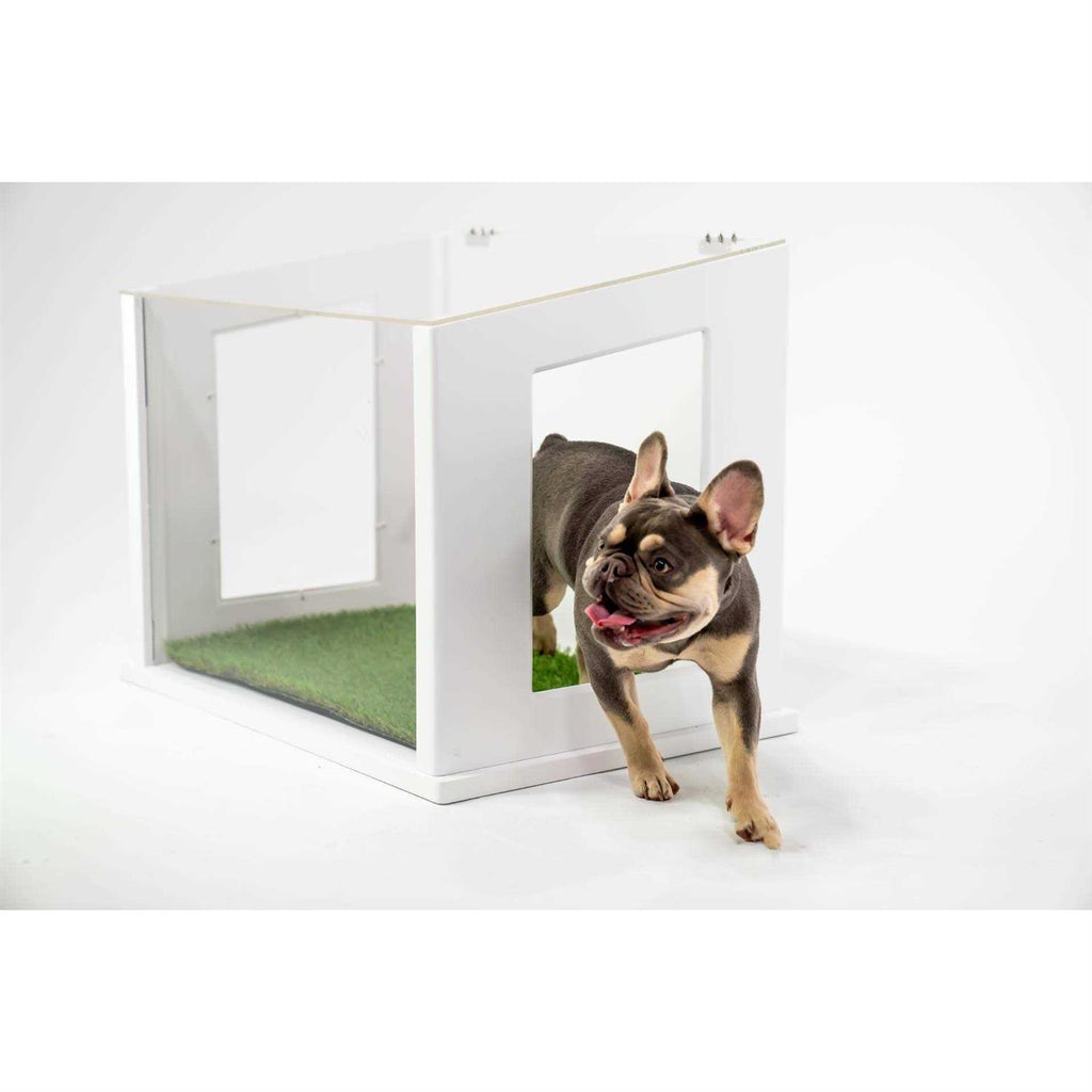 Dog or Cat Potty W75772