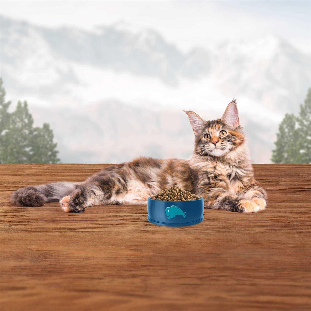Blue Indoor Hairball Control Cat Dry Food G55662