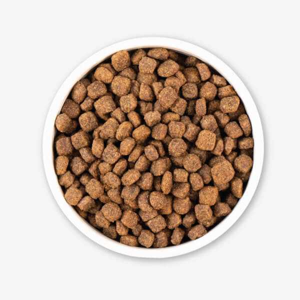 Grain Free Dry Dog Food I12146