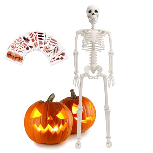 5.4 FT Movable Posable Joints Skeleton G3470