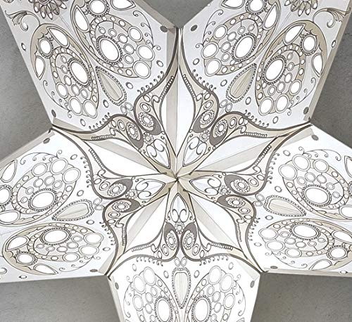 24 Inch White 3D 5-Point Paper Star Lantern L378575