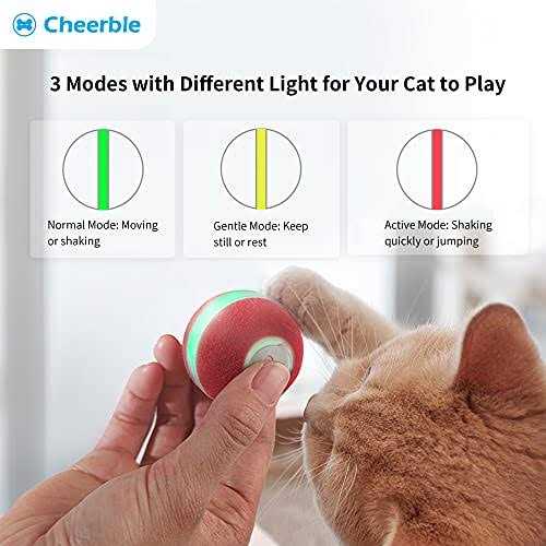 Interactive Cat Toy K481115
