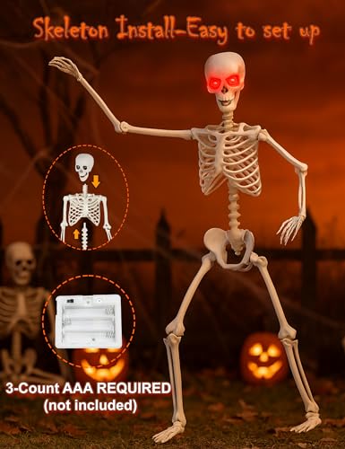 Life Size Skeleton with Glowing Eyes Movable Joints J797167