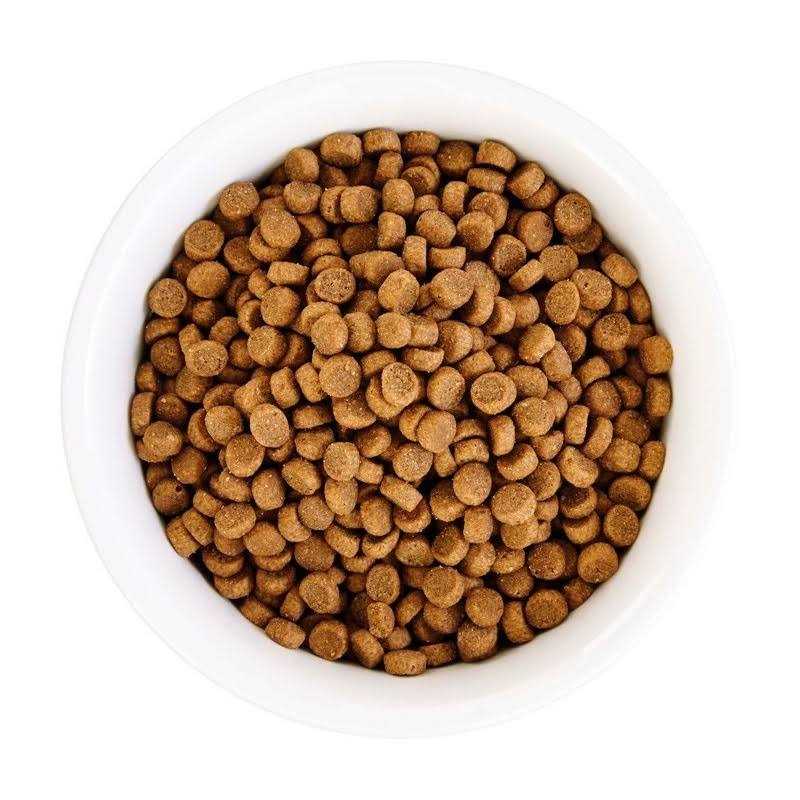 Grain Free Chicken Formula Dry Cat Food O99657