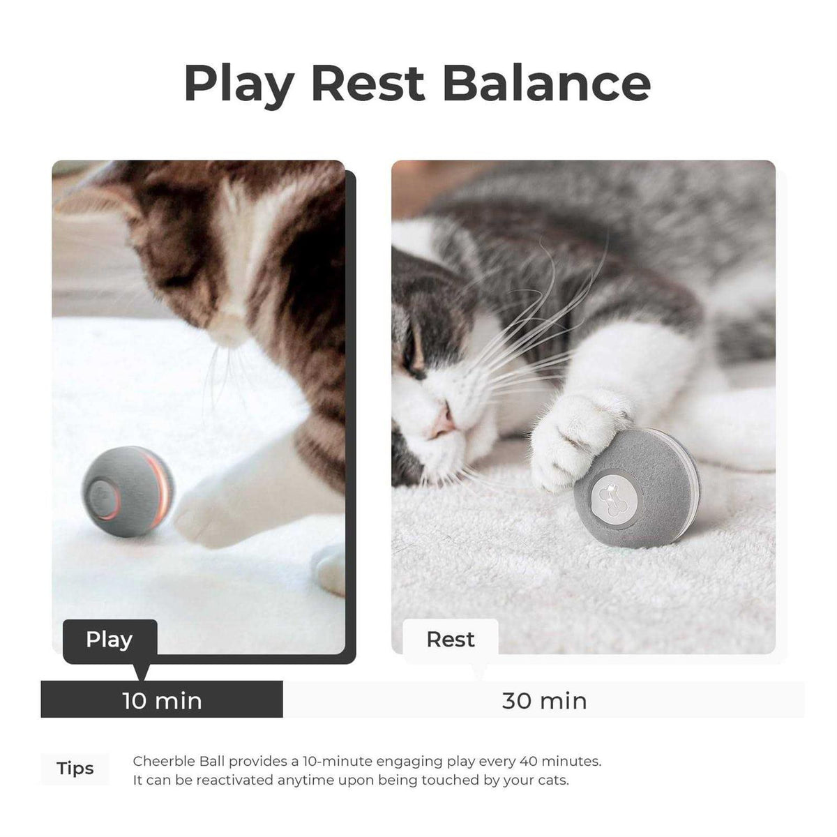 Interactive Cat Toy K481115