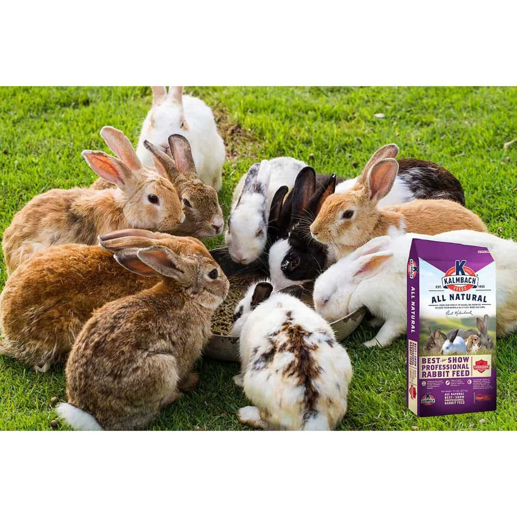 50 lb 18% Rabbit Feed E725