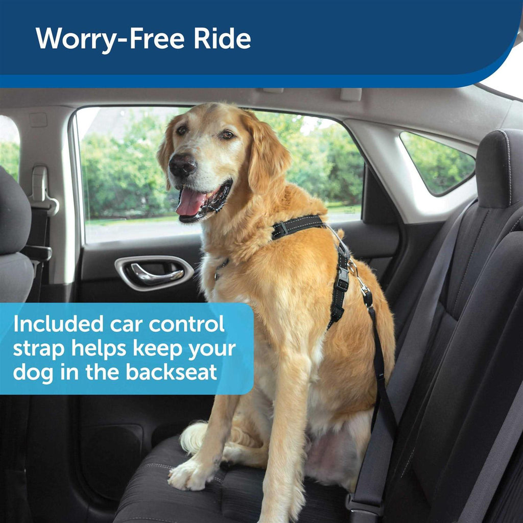 3 in 1 Harness with Two Point Control Leash R157166