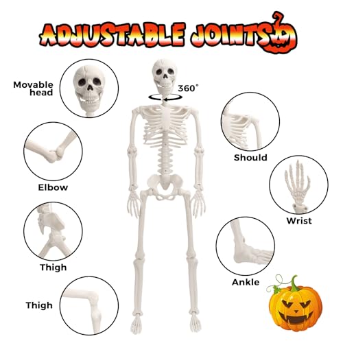 5.4 FT Movable Posable Joints Skeleton G3470