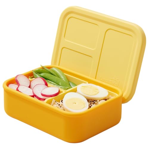 Silicone Multi-Compartment Lunch Box A60005