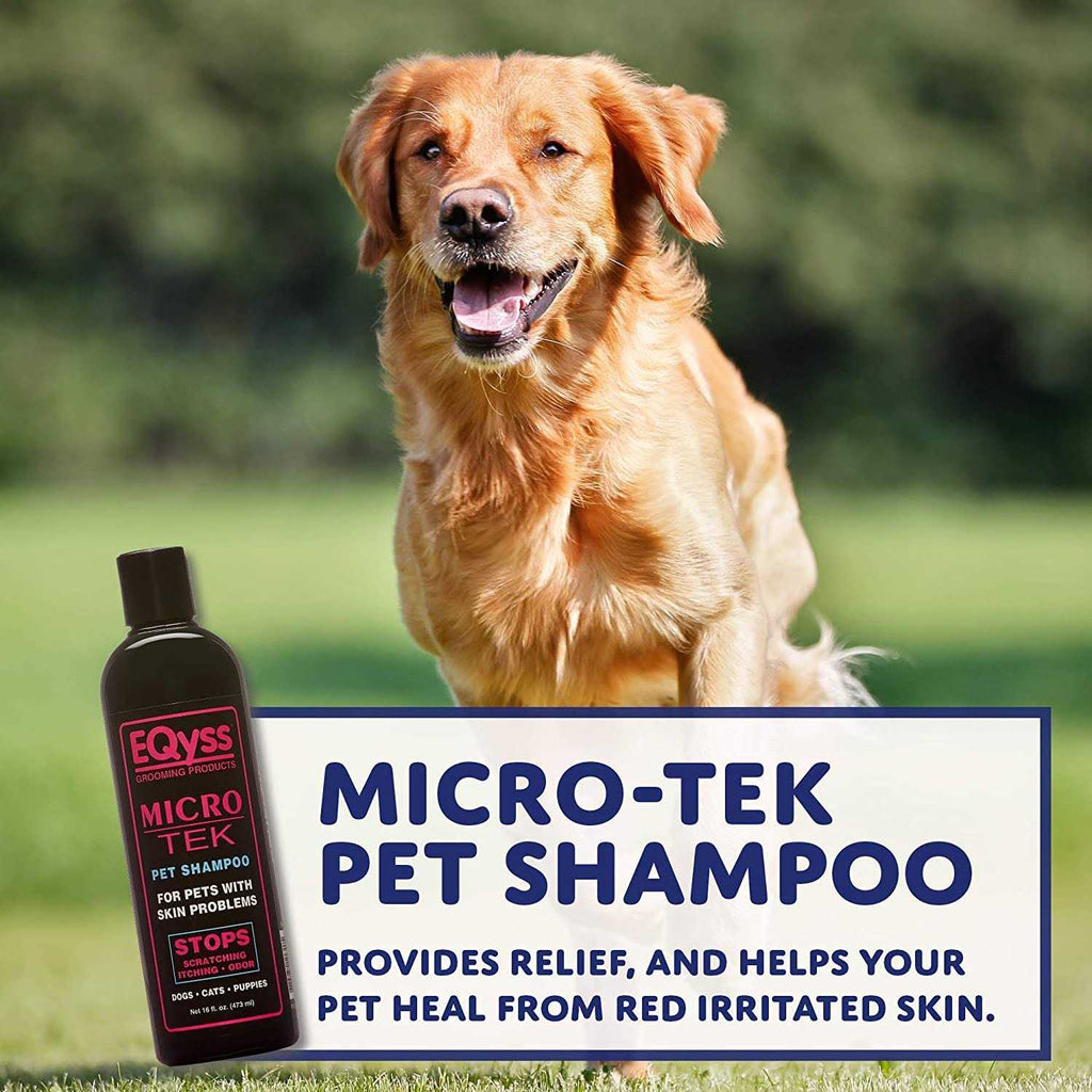 Pet Shampoo A24542
