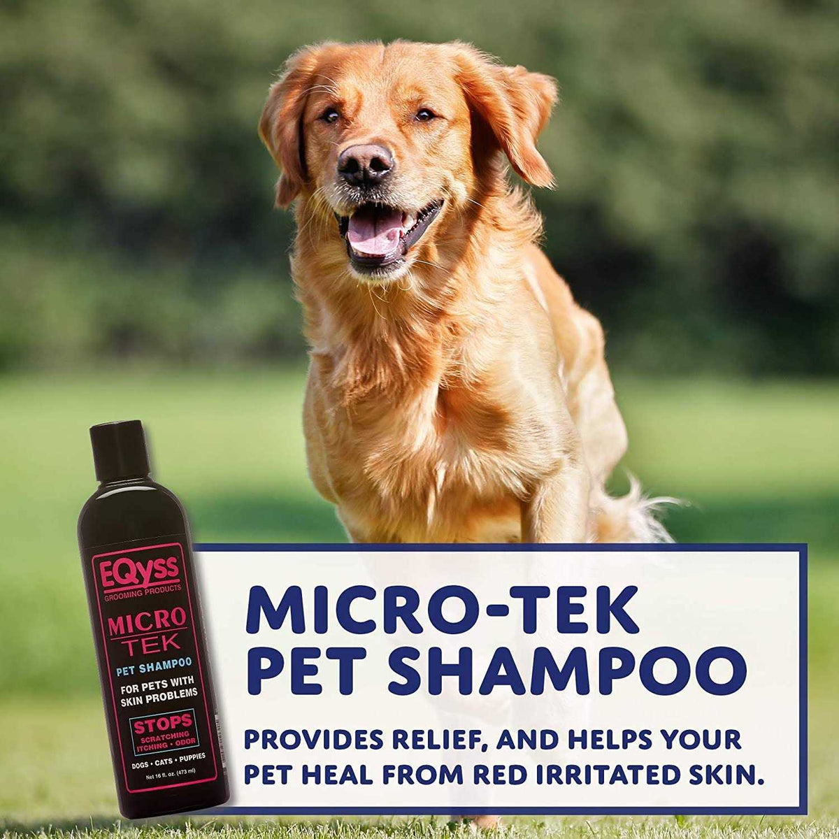 Pet Shampoo A24542