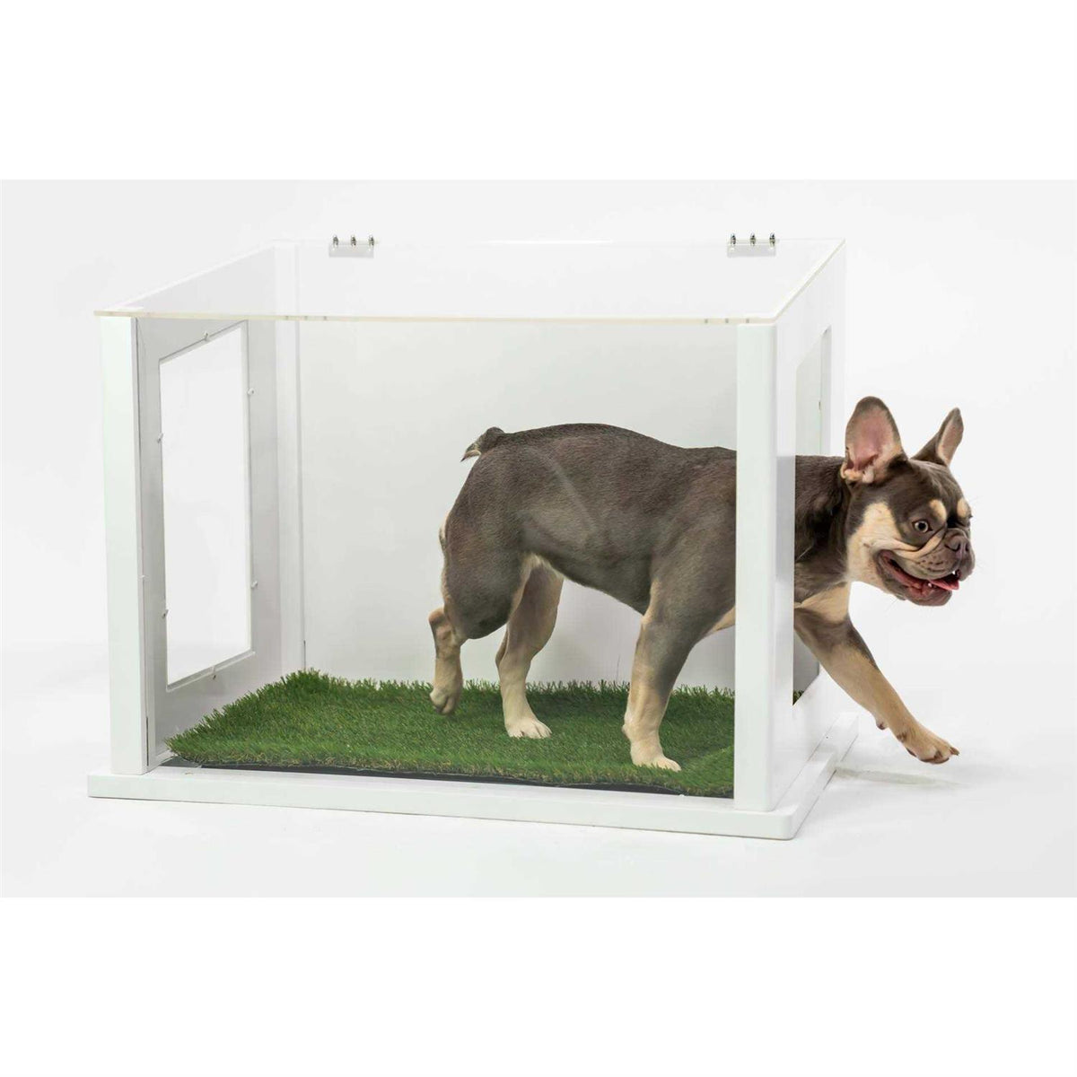 Dog or Cat Potty W75772