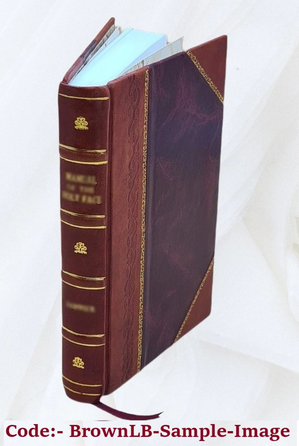 1876 Disputed Presidential Election W526