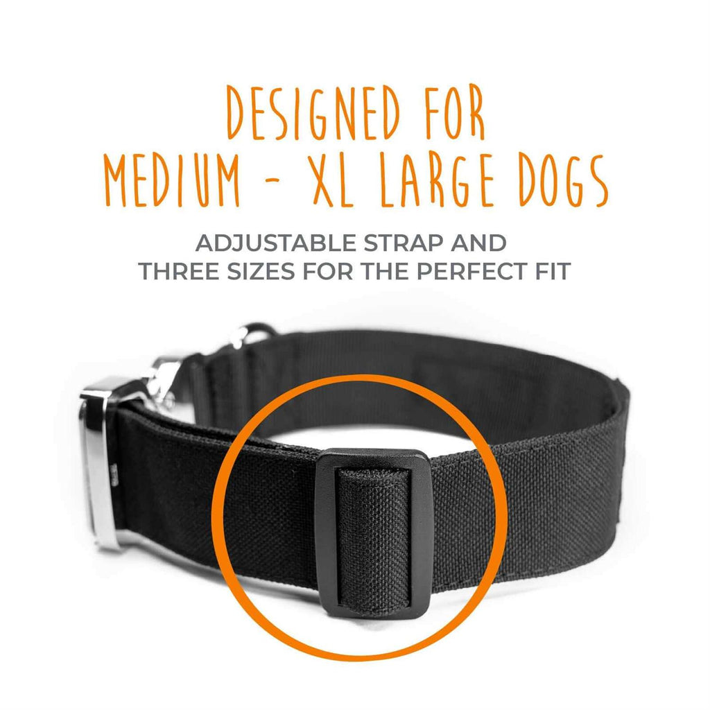 Heavy Duty Dog Collar with Metal Buckle W809