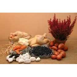 Grain Free Chicken Dog Food S8265