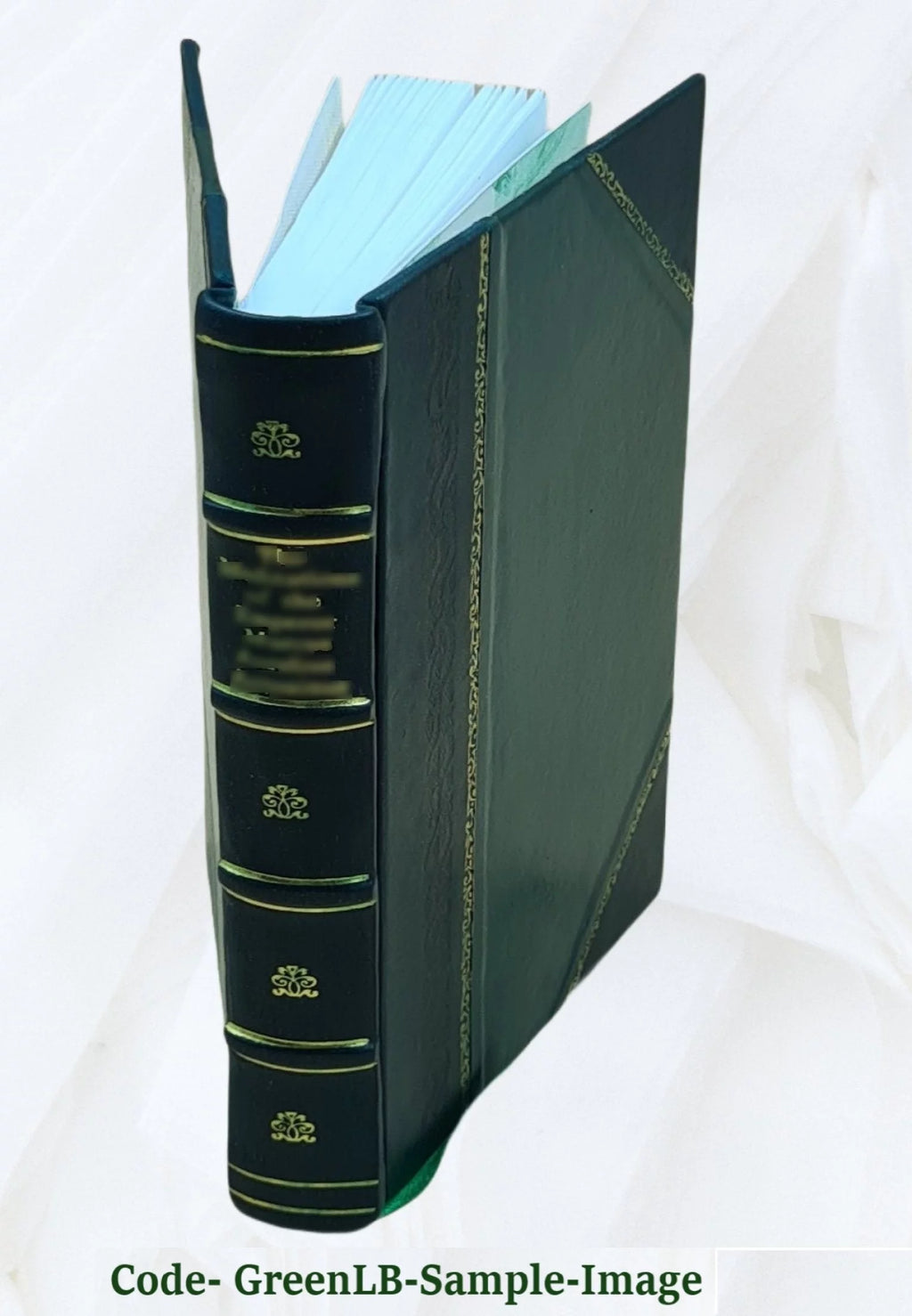 New Amsterdam Records 1653 to 1674 Leather Bound H28404