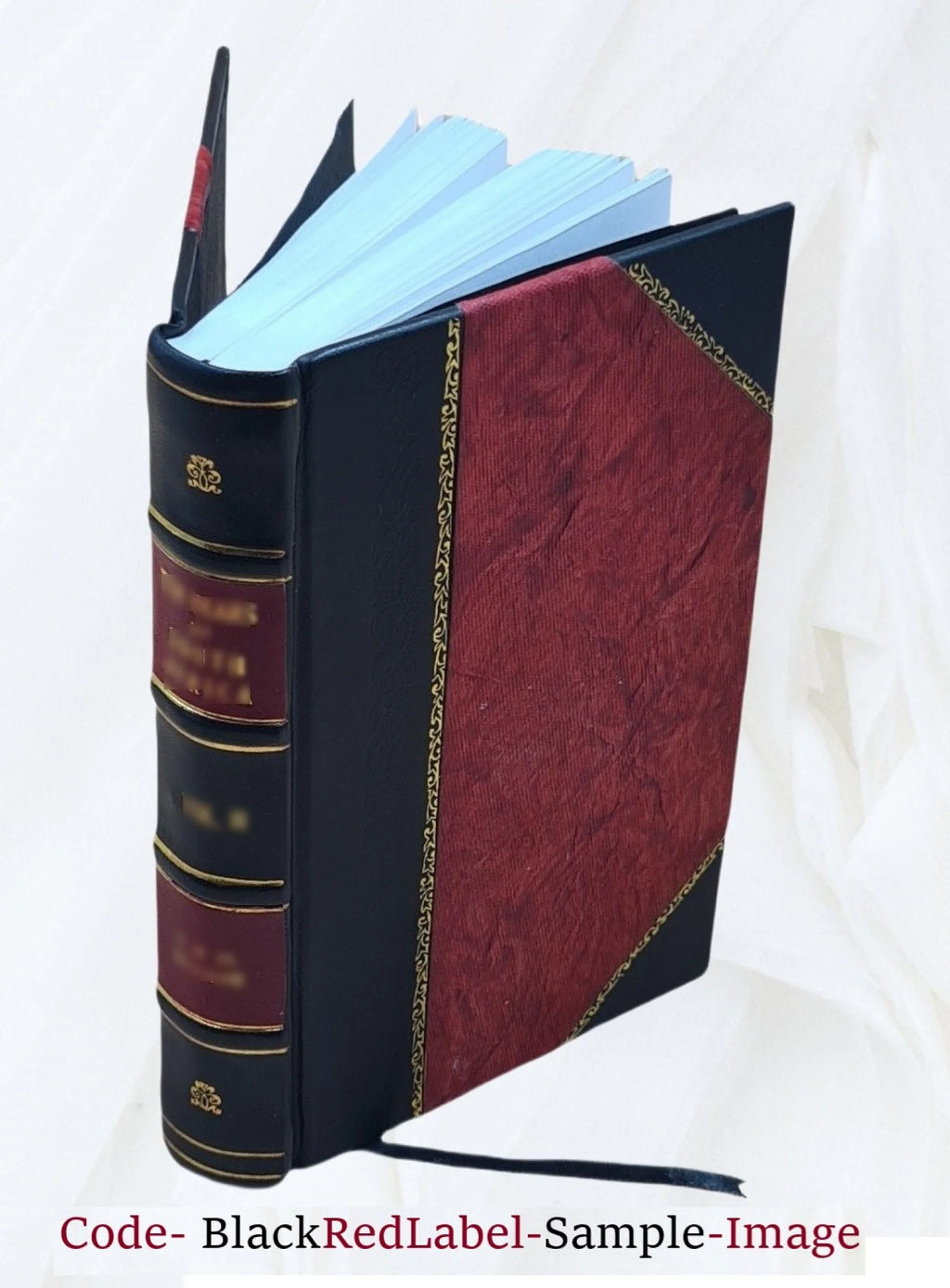 Leather Bound Book C624